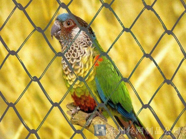 養(yǎng)殖隔離網(wǎng)--01