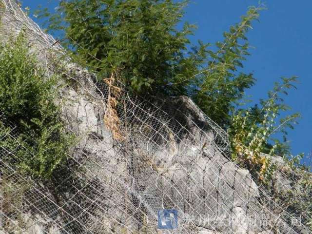 sns主動防護(hù)網(wǎng)--01