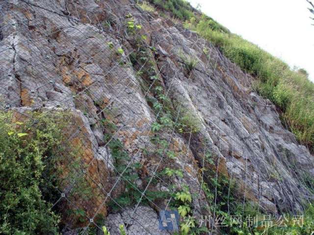 sns主動防護(hù)網(wǎng)--04